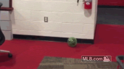 Tuesday 3.29: Three New Poems